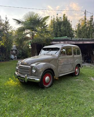 Fiat topolino belvedere