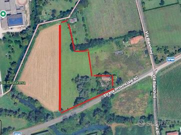 Rustico con terreno agricolo