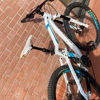 Mountain Bike bioammortizzata S