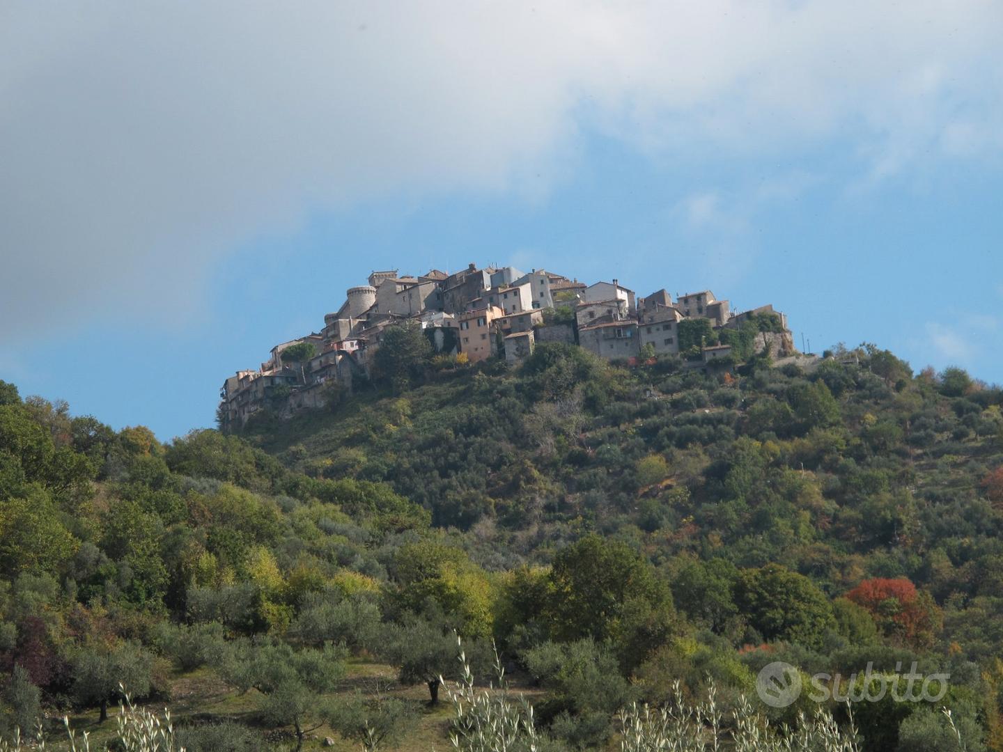 Oliveto - Vista 5