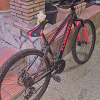 Flywhell bile ( versione sportiva )