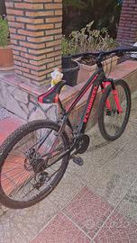 Flywhell bile ( versione sportiva )