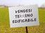 Immagine 20