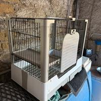 Gabbia nuova per coniglio