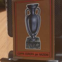 Coppa Europa per Nazioni 1980/81