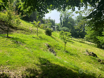 Terreno Bondo Petello