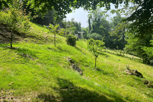 Terreno Bondo Petello