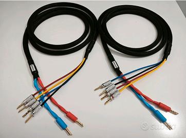 Cavo di potenza Biwiring Salaantonio
