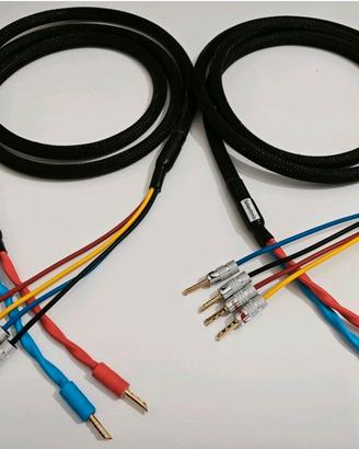 Cavo di potenza Biwiring Salaantonio