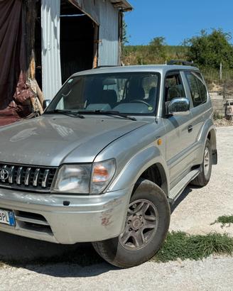 Toyota land cruiser
