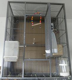VOLIERA DA INTERNO PER UCCELLI 