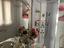 Immagine 14