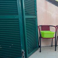 Coppia Persiane PVC Verde Bosco - Misure 314x185