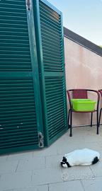 Coppia Persiane PVC Verde Bosco - Misure 314x185