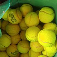 palline tennis usate n. 50