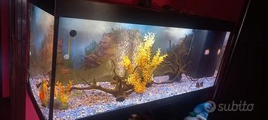 Acquario juwel rio 450 misure 150x65x50