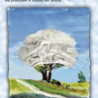 Telo Tessuto non Tessuto Mt. 10x1,60 Gr.30/Mq