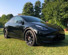 TESLA Model Y - performance