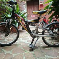 Bicicletta 20 p