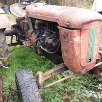 Trattore Same  Puledro