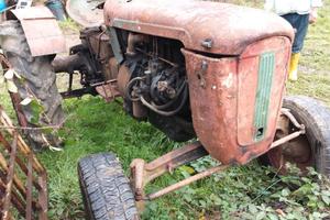 Trattore Same  Puledro