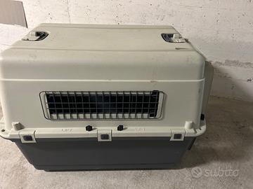 Trasportino cane taglia media setter pointrer