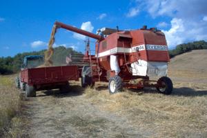 Mietitrebbia Laverda AL 3350