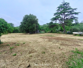 Terreno agricolo edificabile