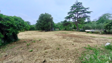 Terreno agricolo edificabile
