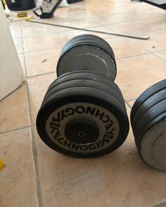 Coppia manubri 30 kg