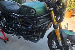benelli leoncino 800