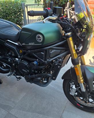 benelli leoncino 800