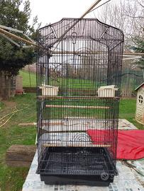 Gabbia Voliera