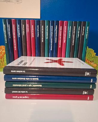 libri " mondo matematico"