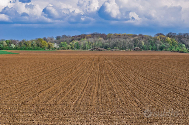 Terreno agricolo