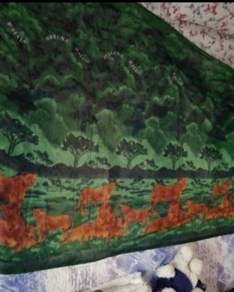 Foulard Re Leone