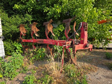 Aratro quadrivomero Vogel Noot