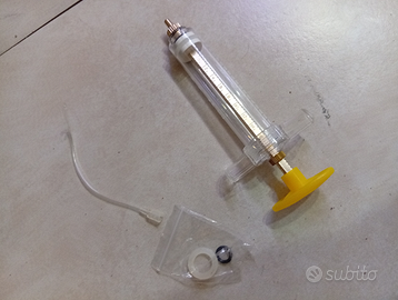 Canarini, pappagalli