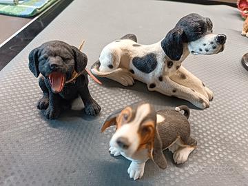 labrador bassotto segugio