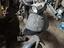 Immagine 3