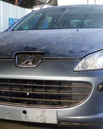 PEUGEOT 407 SW 1.6D 80 KW - ANNO 2005