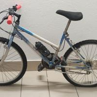 mountan bike biciclette