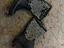 Immagine 3