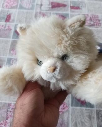 Splendidi peluche gatti Trudi