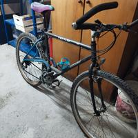 Mountain bike Pro Flex 550 anni 1990.