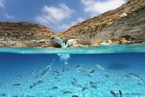 Lampedusa o'scia ottobre