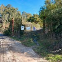 Muros Area Adiacente SS131