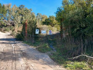 Muros Area Adiacente SS131