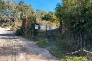 Muros Area Adiacente SS131