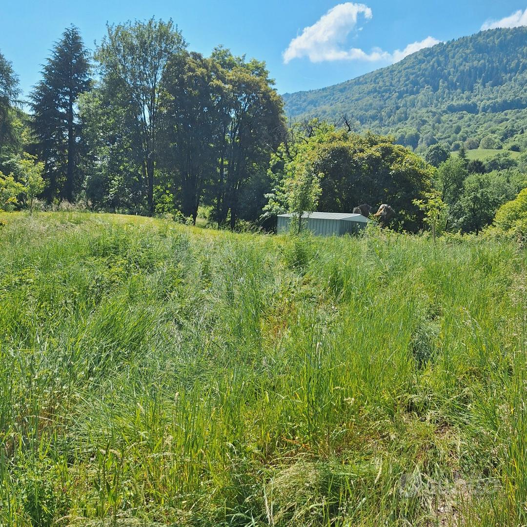 Terreno agricolo in Solto Collina - Vista 5